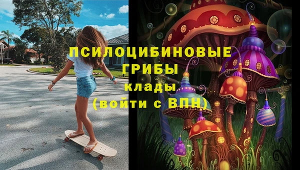 каннабис Аркадак