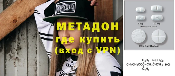 индика Богородск